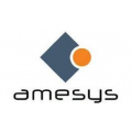 Amesys Conseil