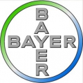 Bayer Maroc