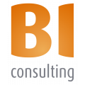 Bi Consulting