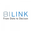 Logo Bilink Solutions