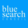 Logo Blue Search