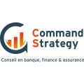 Logo Command Strategy