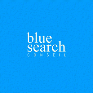 Logo Blue Search