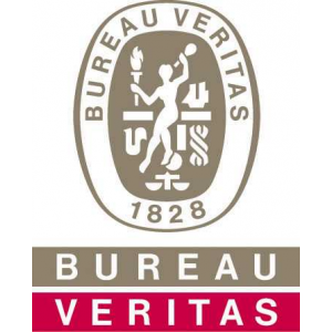 Logo BUREAU VERITAS MARINE & OFFSHORE