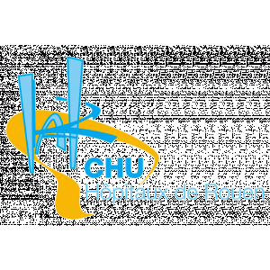 Logo Centre Hospitalier Universitaire de Rouen (CHU)