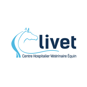 Logo CHVE - St Michel de Livet