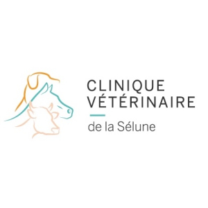 Logo Clinique de La Selune Saint hilaire du Harcouet