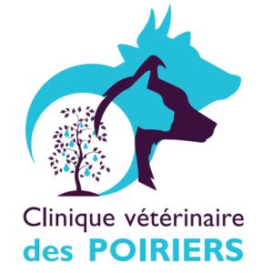 Logo Clinique des poiriers, Le Teilleul