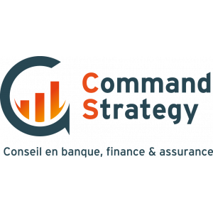 Logo Command Strategy