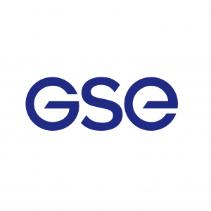 Logo GSE Group