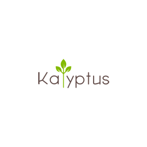 Logo kalyptus
