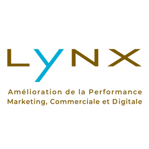 Logo Lynx conseil