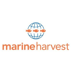 Logo Marine Harvest Kritsen
