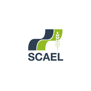 Logo Scael