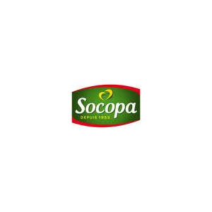 Logo Socopa Viandes