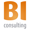 Bi Consulting