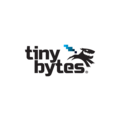 TinyBytes