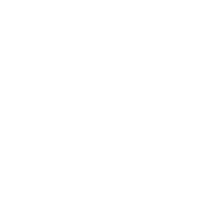 Logo Bertin Technologies