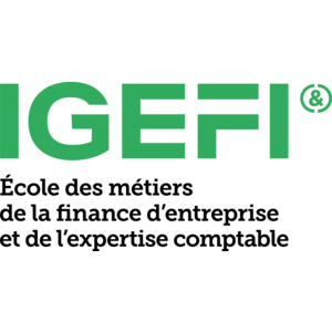Logo IGEFI